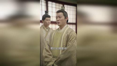 穿到古代抢太子,抢太子，我成了古代女侠