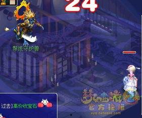 朱雀堂,探寻东方神秘文化的瑰宝之地