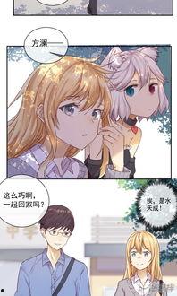 恋爱漫画家,揭秘恋爱漫画家的甜蜜创作之旅