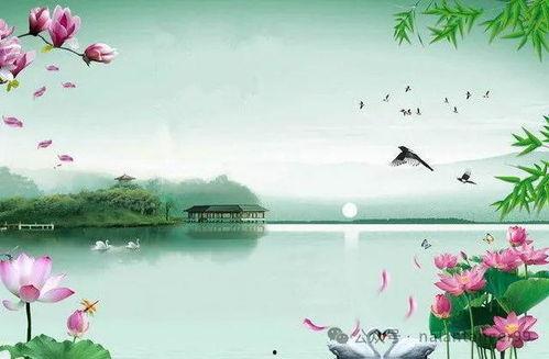 烟火人间岁月长,探寻生活的美好与变迁