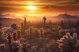 最后的早晨,最后的早晨印象